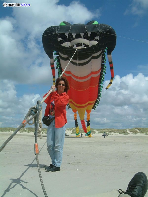 Image result for the biggest kite in the world