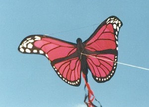 Gail's first kite