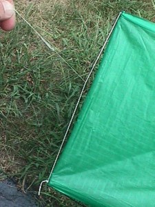 cubebridle