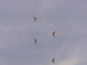 firekites